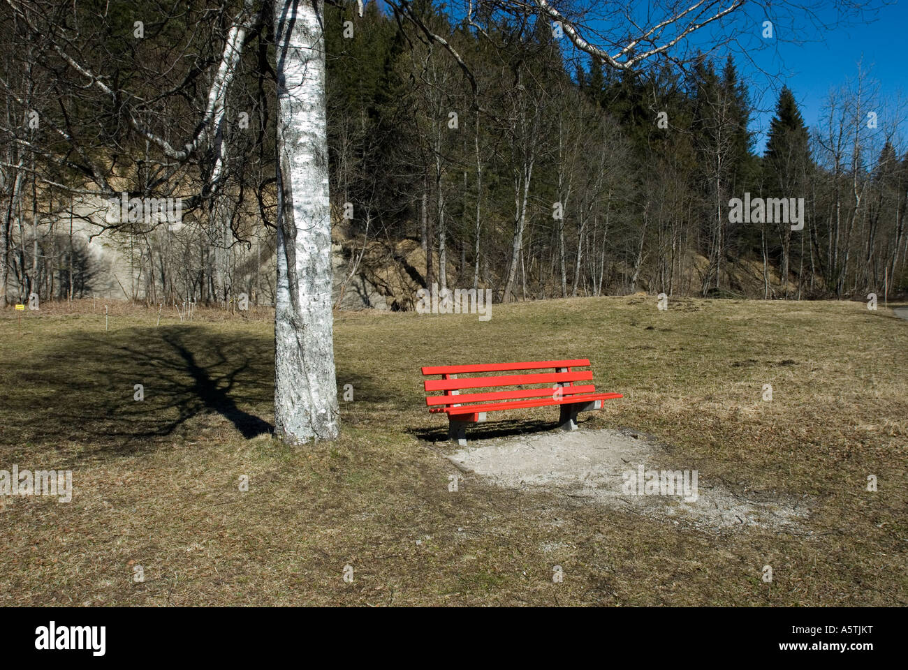 leere rote Bank neben Birke Klais Wallgau oberen Alpen Bayern Stockfoto