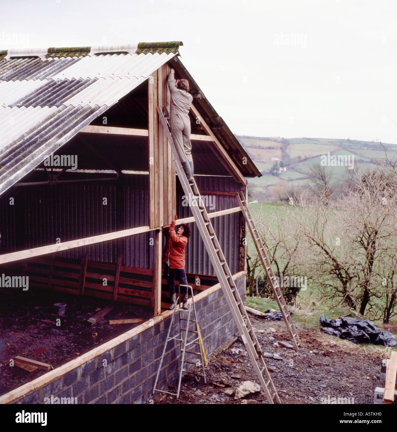 Mann und Frau Arbeiter stehen auf Leitern die Errichtung eines Gebäudes auf einem Bauernhof Baustelle in Carmarthenshire Dyfed West Wales UK KATHY DEWITT Stockfoto