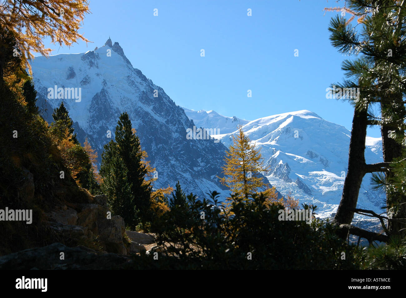 Chamonix Mont-Blanc Gebiet Blick Auf Aiguile de Midi Und Dome du Gouter Frankreich Chamonix Mont-Blanc Gebiet Blick auf Aiguile de Stockfoto