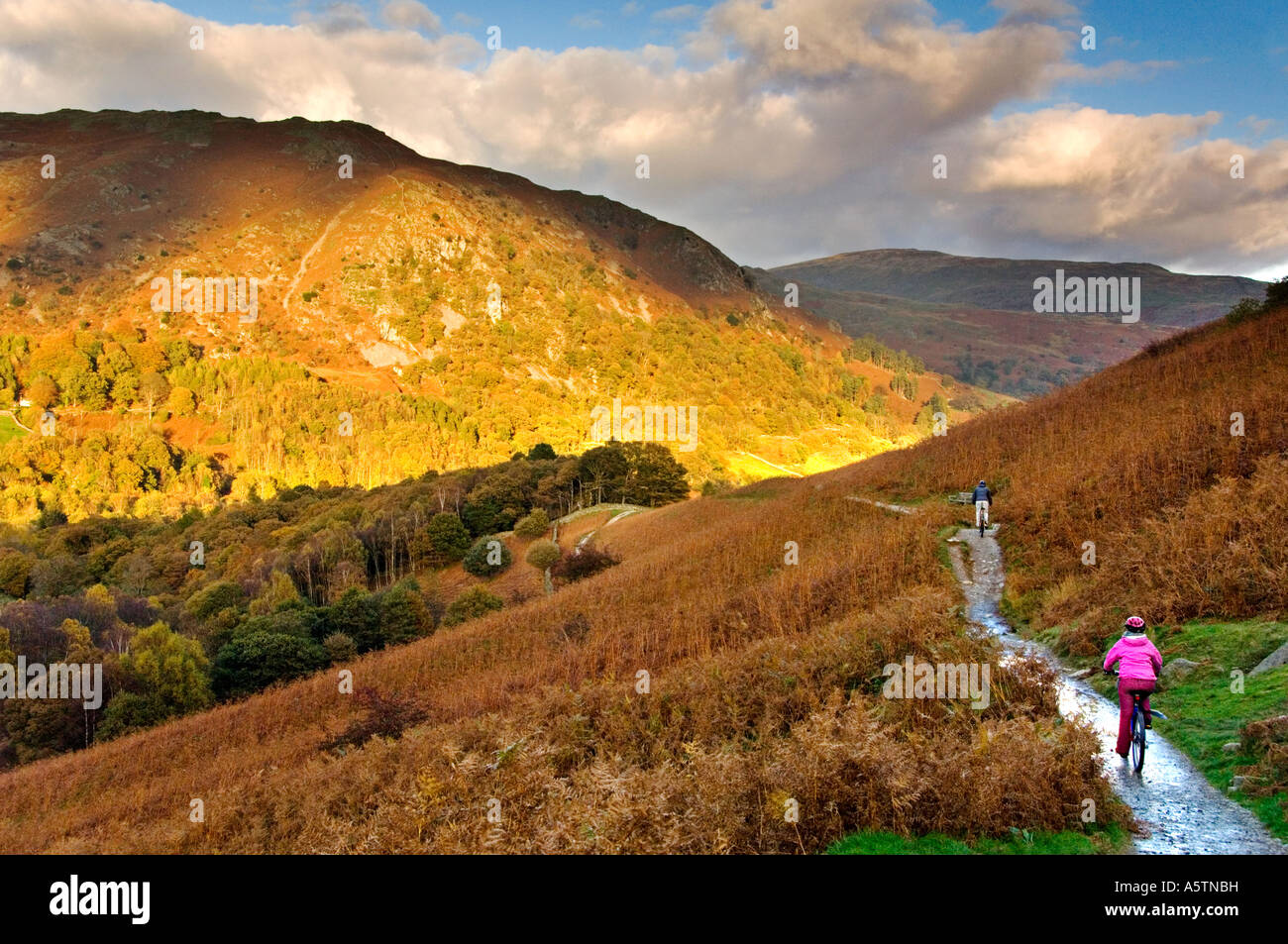 Mountain-Biker, Radsport, Loughrigg Terrasse, in der Nähe von Ambleside, Nationalpark Lake District, Cumbria, England, UK Stockfoto