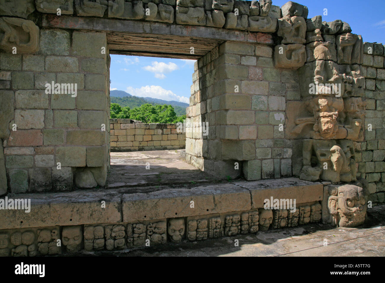 Painet jj1697 Honduras Maya-Ruinen Copan Latin America zentrale Amerika Architektur Tourismus Geschichte präkolumbianischen carving Stockfoto