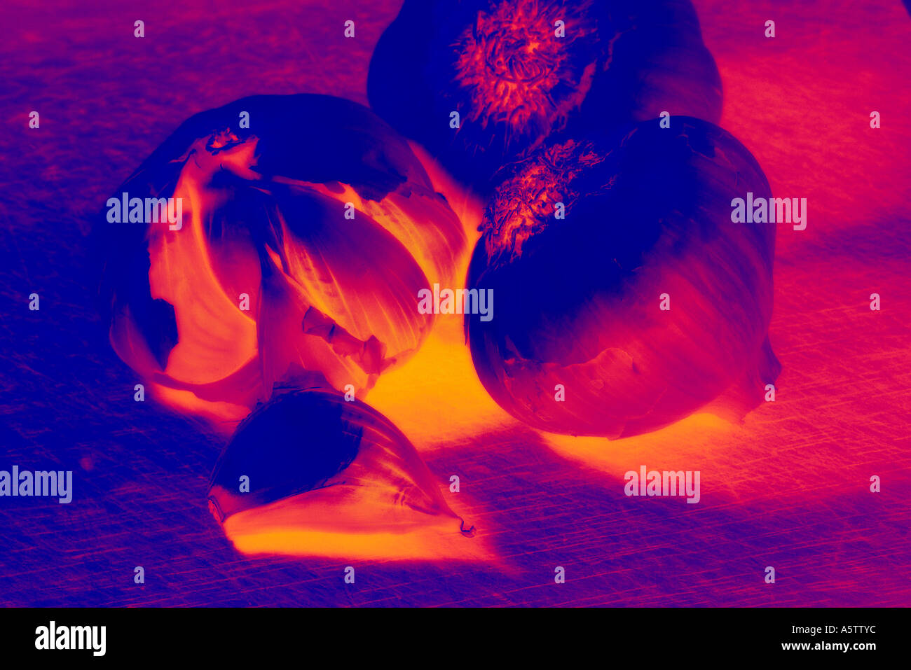 Infrarot-Wärmebild von Knoblauch auf Holzbrett Stockfoto