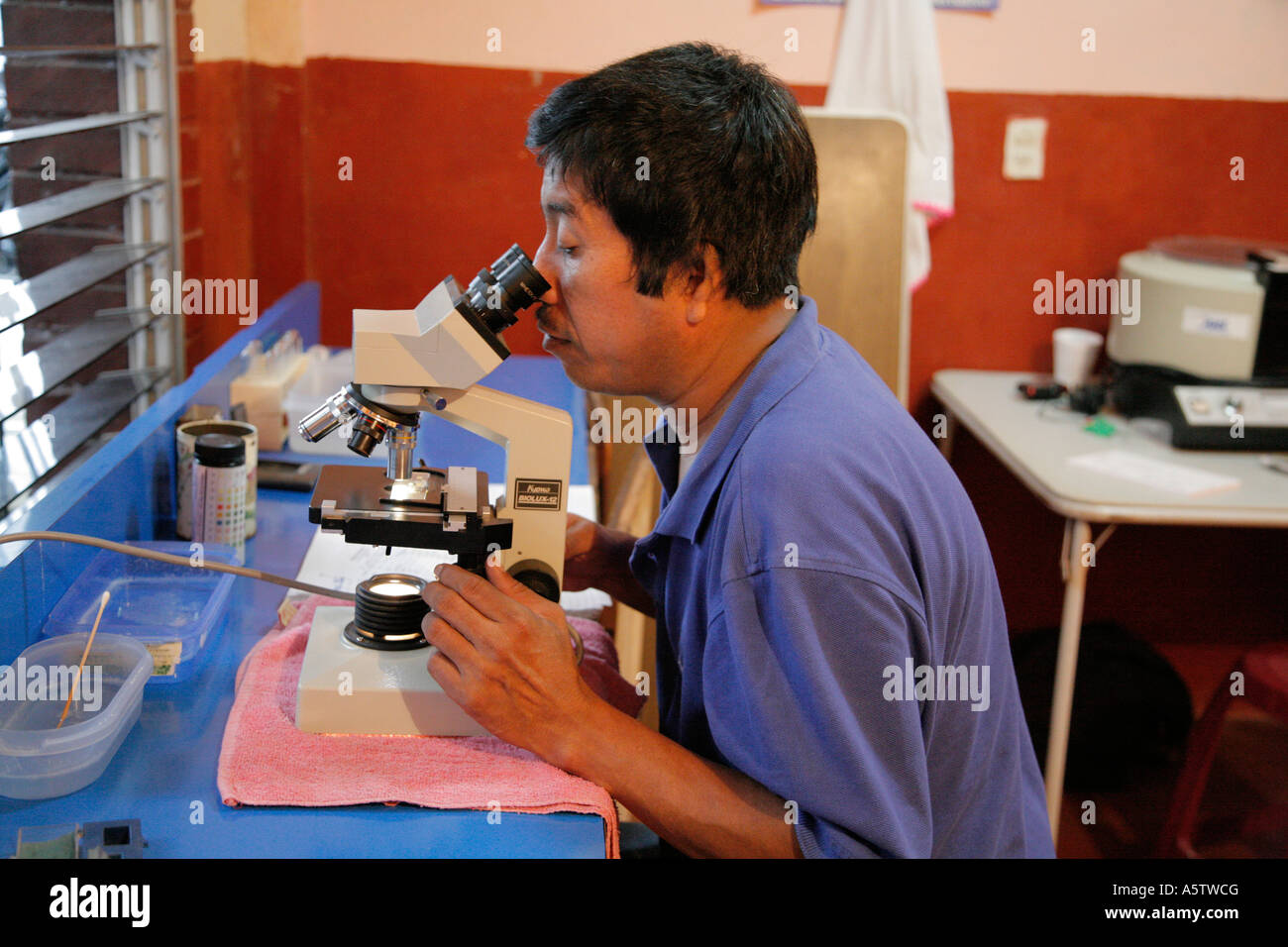 Painet jj1531 Guatemala Medic Blutprobe unter Mikroskop Klinik Catarina Lateinamerika zentrale Americas Health zu prüfen Stockfoto