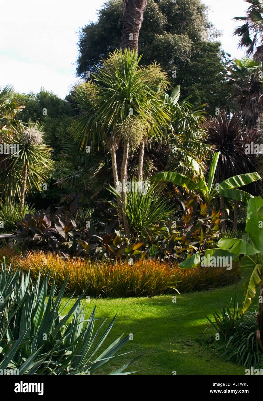 Tropischer Garten mit Palmen Stockfoto