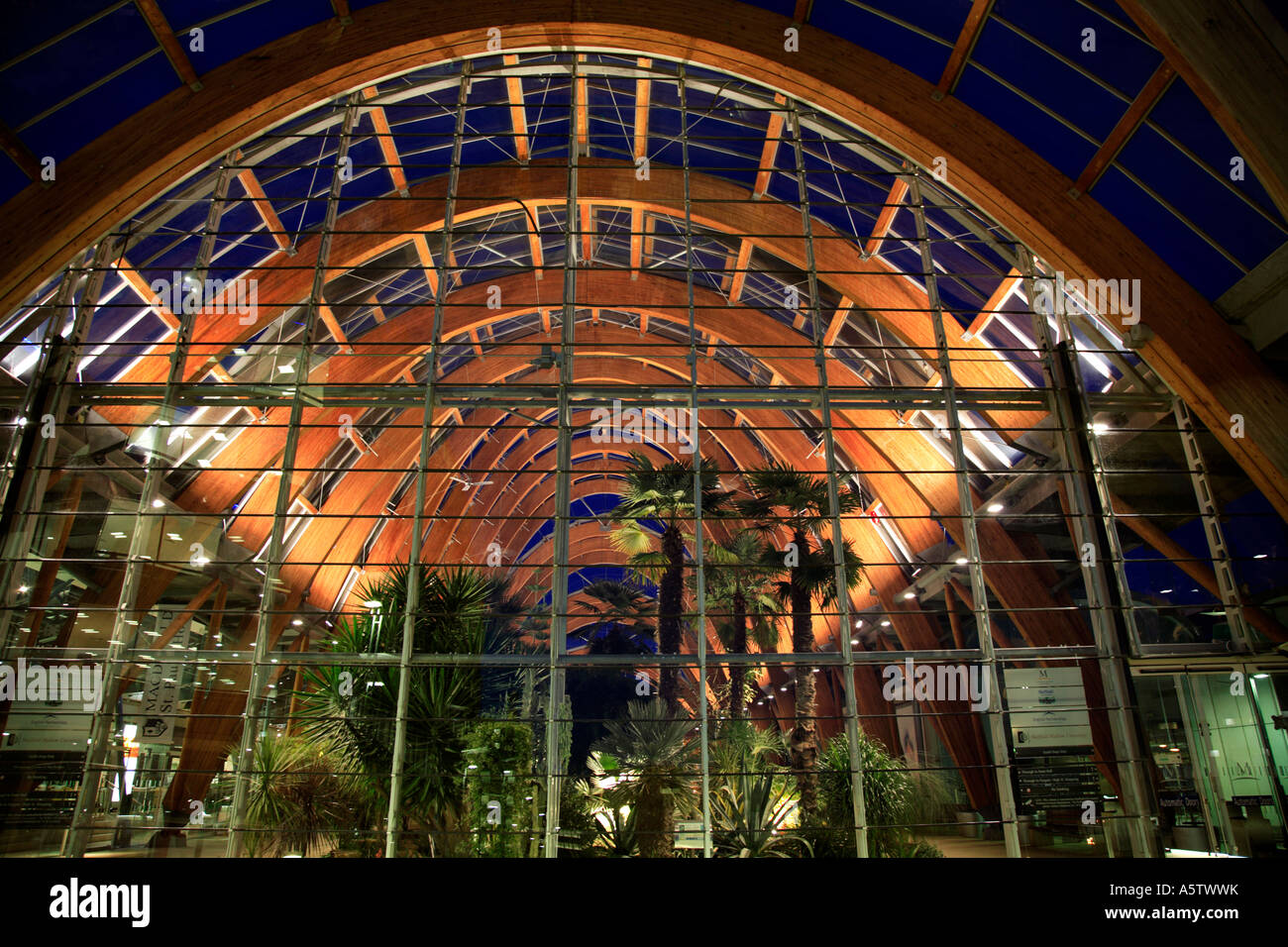 Detail der Wintergarten in der Nacht, Sheffield, South Yorkshire, England, UK. Stockfoto