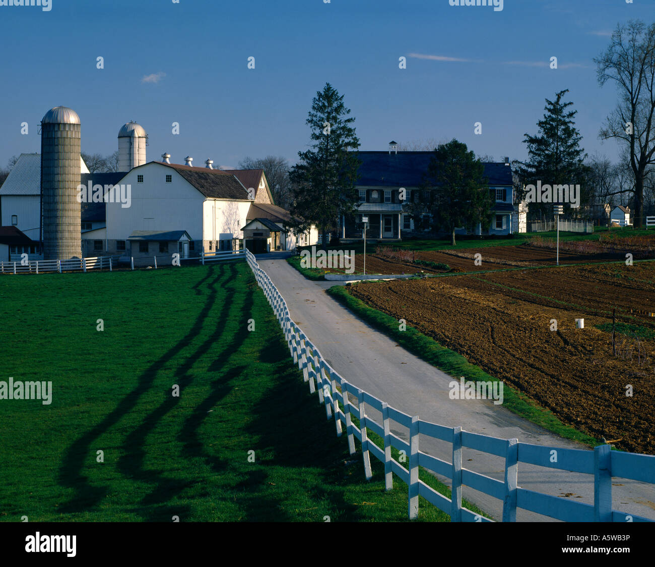 AMISCHE MILCHVIEHBETRIEB / LANCASTER COUNTY, PENNSYLVANIA Stockfoto