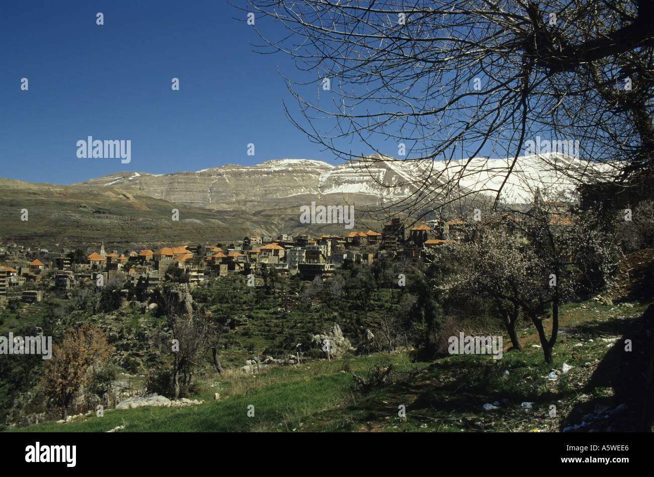Libanon - Bcharre Dorf in den libanesischen Bergen im Frühling Stockfoto