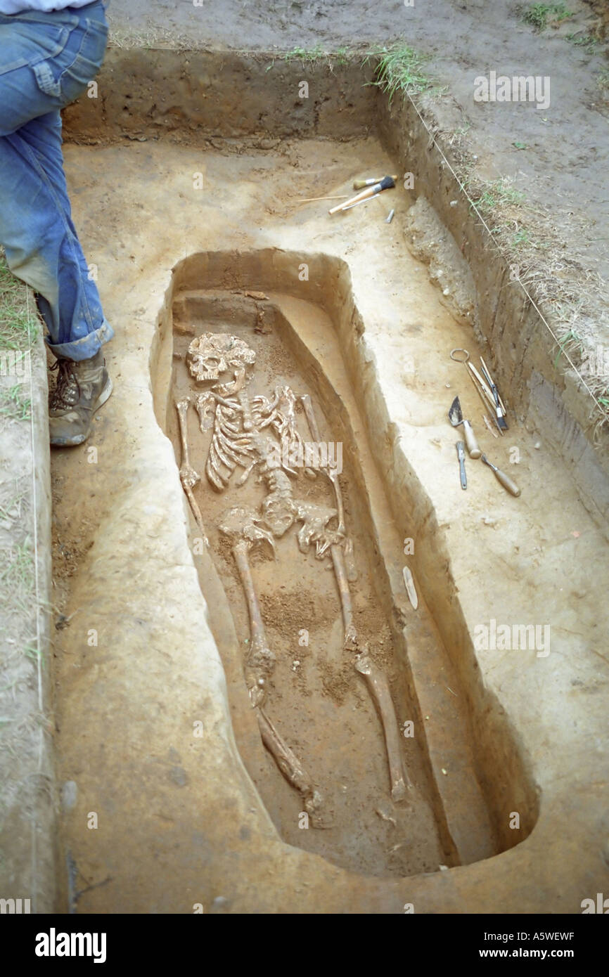 Skelett ausgegraben in Jamestown, Virginia Stockfoto