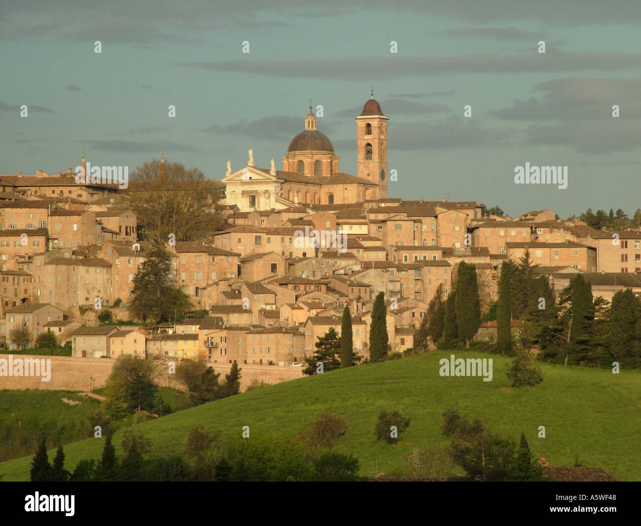AJD36512, Marche, Italien, Urbino, Europa Stockfoto