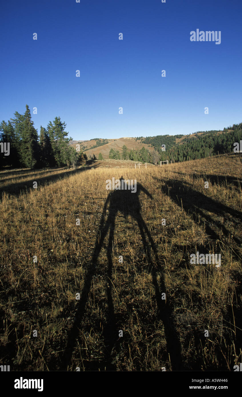 Schatten des Reiten in den Bergen von Centennial in Montana Stockfoto