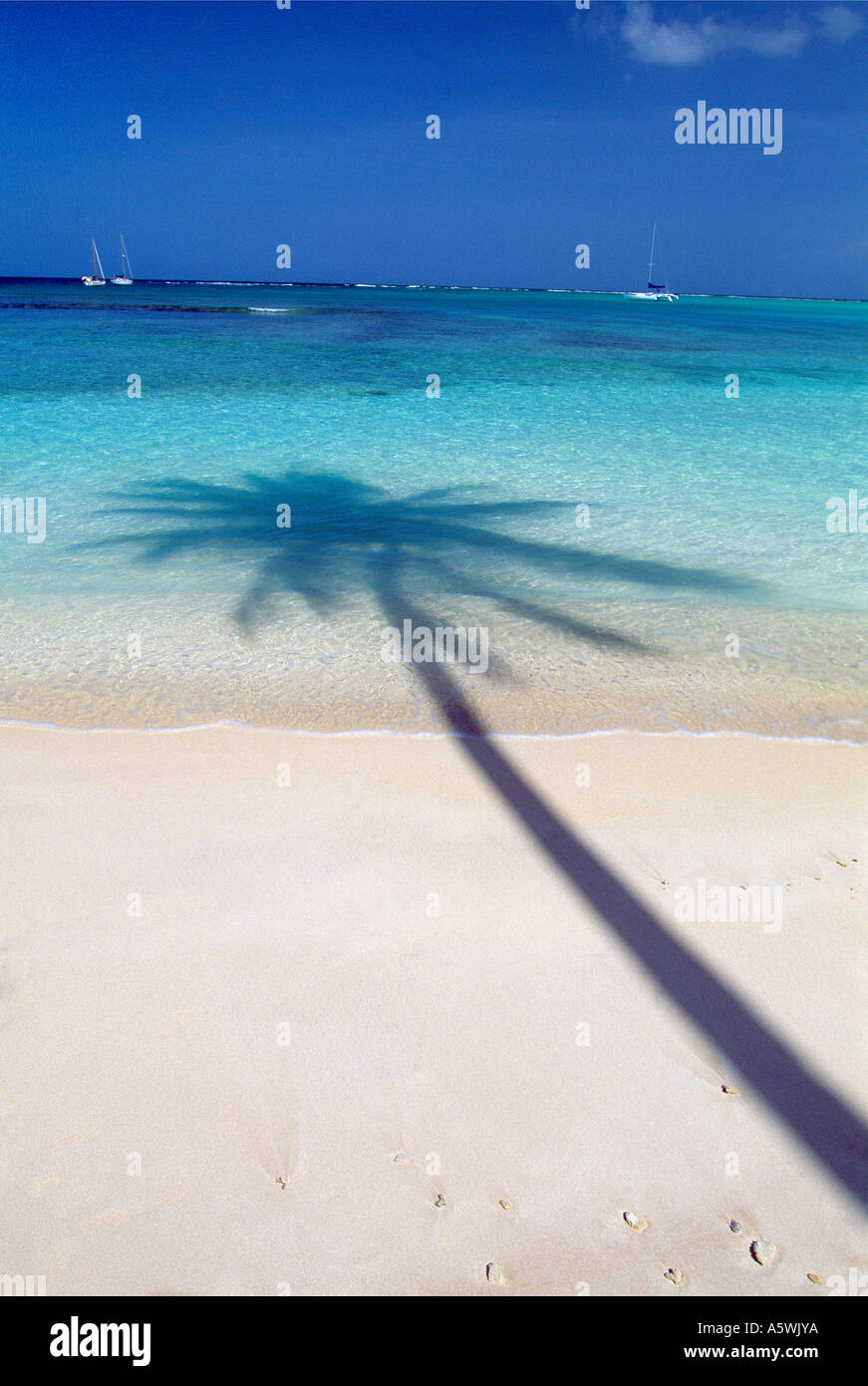 Schatten einer Palme an einem tropischen Strand Pigeon Point Tobago Stockfoto