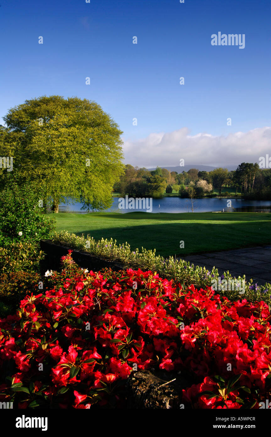 Malone Golf Club, Belfast, Nordirland, 18. Grün Stockfoto