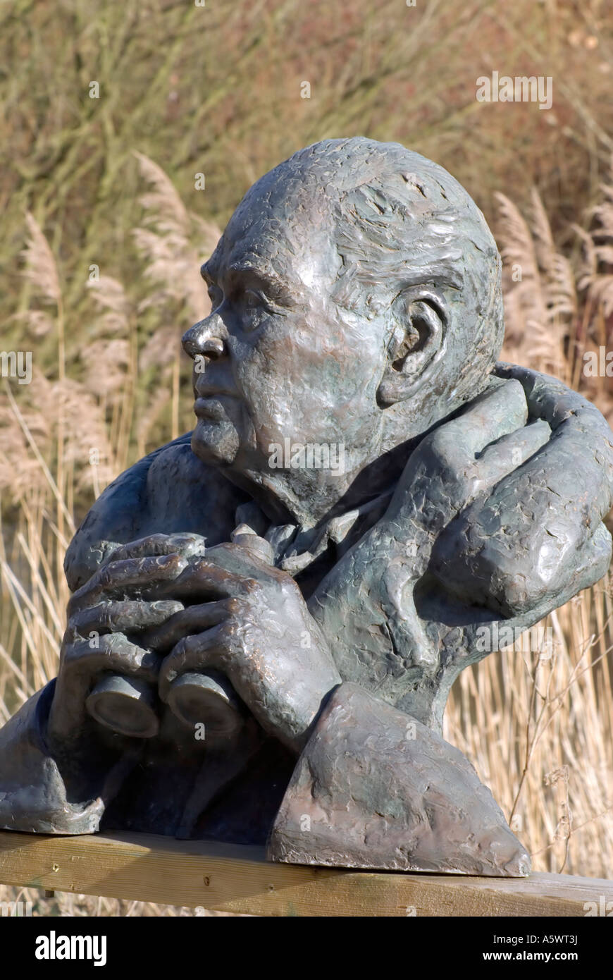 Bronze-Büste Sir Peter Scott Gründer WWW Vertrauen Arundel West Sussex UK gb Stockfoto
