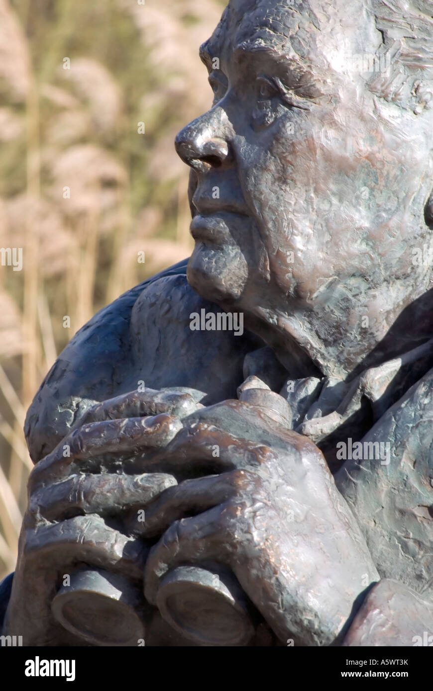 Bronze-Büste Sir Peter Scott Gründer WWW Vertrauen Arundel West Sussex UK Stockfoto