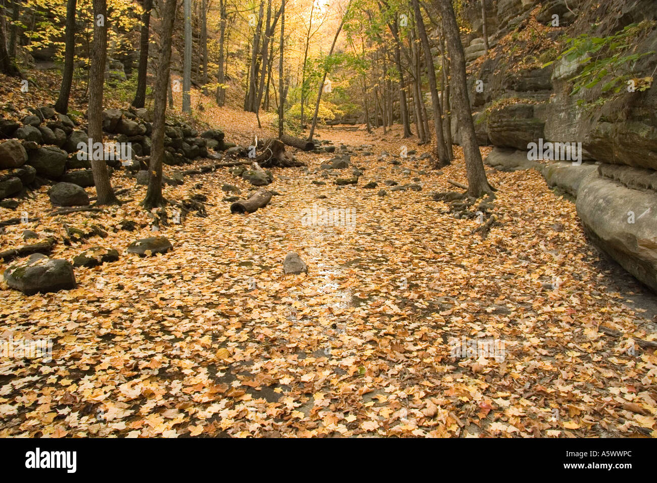 Oberen Dells im Herbst Matthiessen State Park Illinois USA Stockfoto