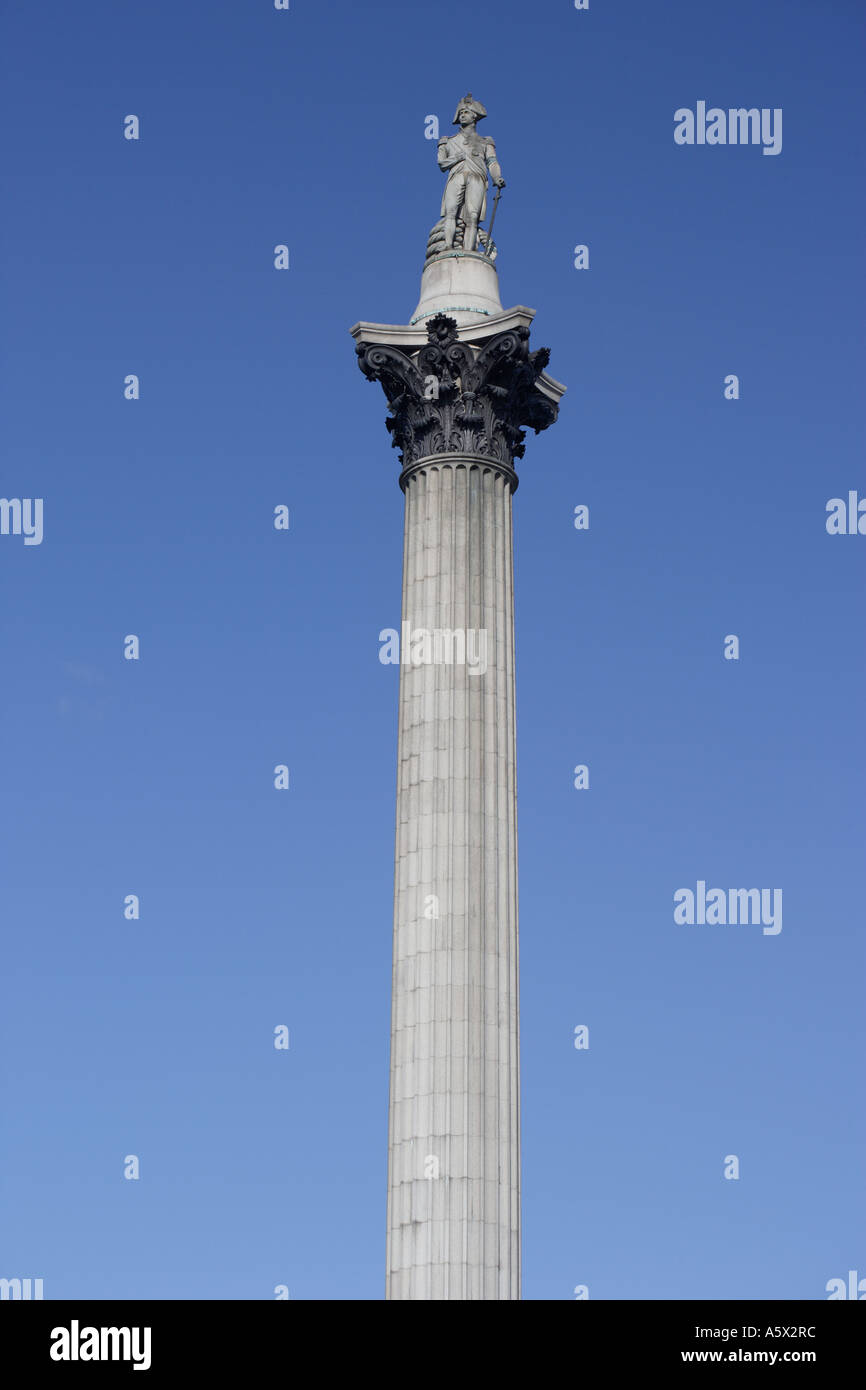 Nelson Säule Trafalgar Square London England UK Stockfoto