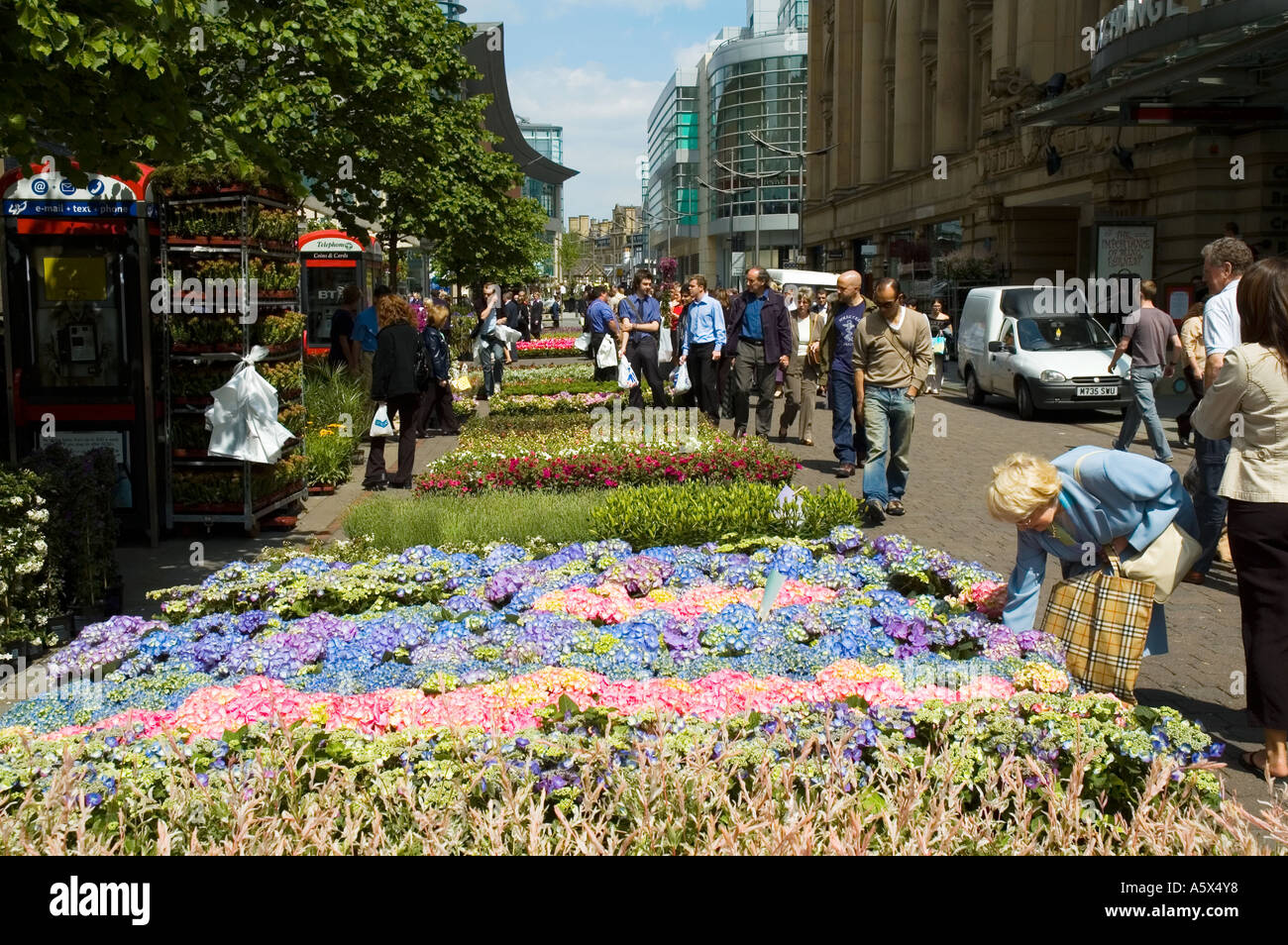 Blumen zum Verkauf an ein Straßenmarkt, St Ann's Square, Manchester, UK Stockfoto