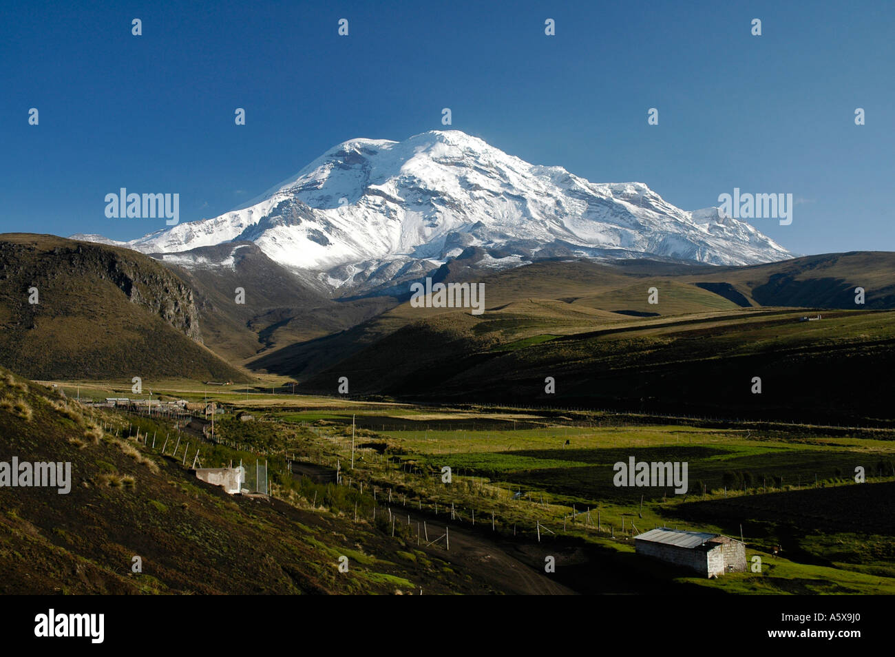 Ansicht des Chimborazo von Pulingue San Pablo, Pulingue San Pablo, Provinz Chimborazo in Ecuador, Südamerika Stockfoto