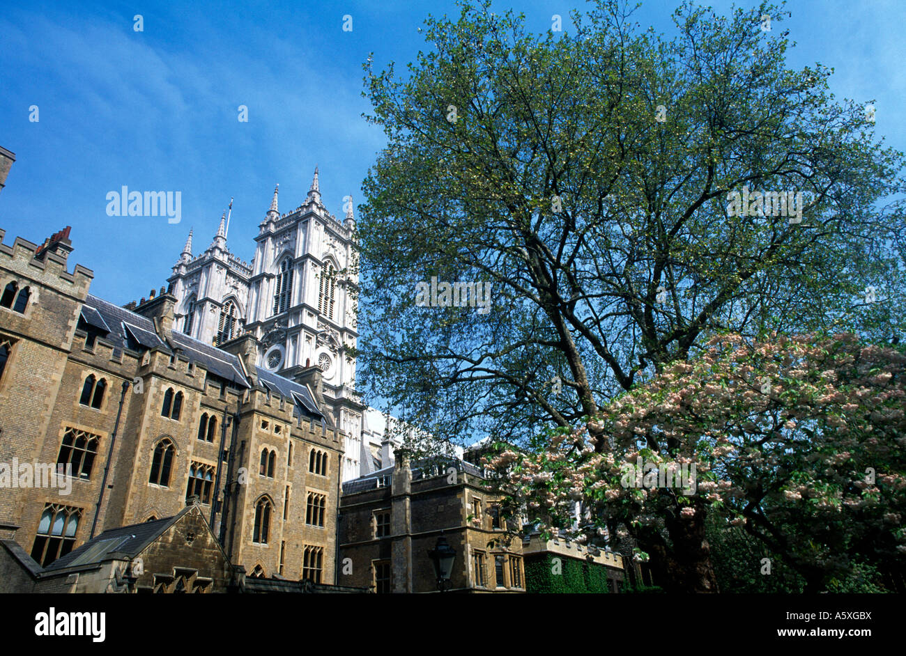 Westminster Abbey London England Dekane Hof Stockfoto