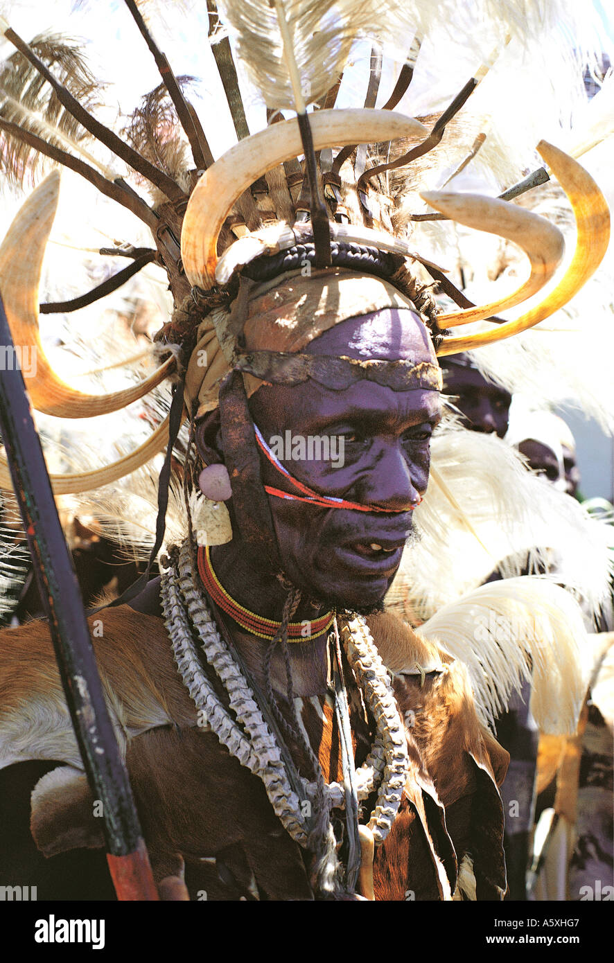 Luo Krieger elder mit spektakulären Tracht und Kopfschmuck aus Straußenfedern und Nilpferd Stoßzähne Kisumu Kenia in Ostafrika Stockfoto