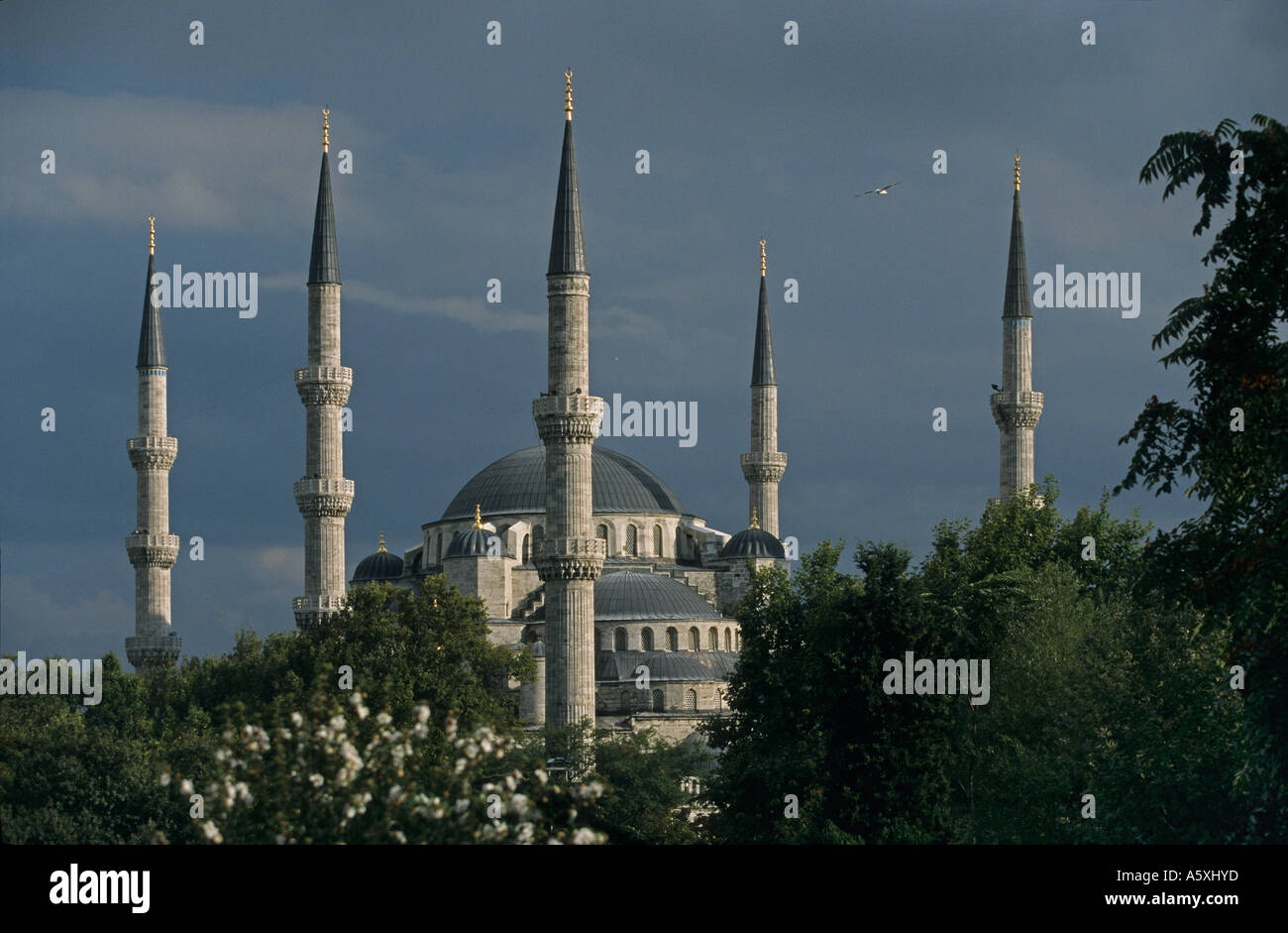 Blaue Moschee in Istanbul (Türkei). Mosquée Bleue À Istanbul (Turkei). Stockfoto