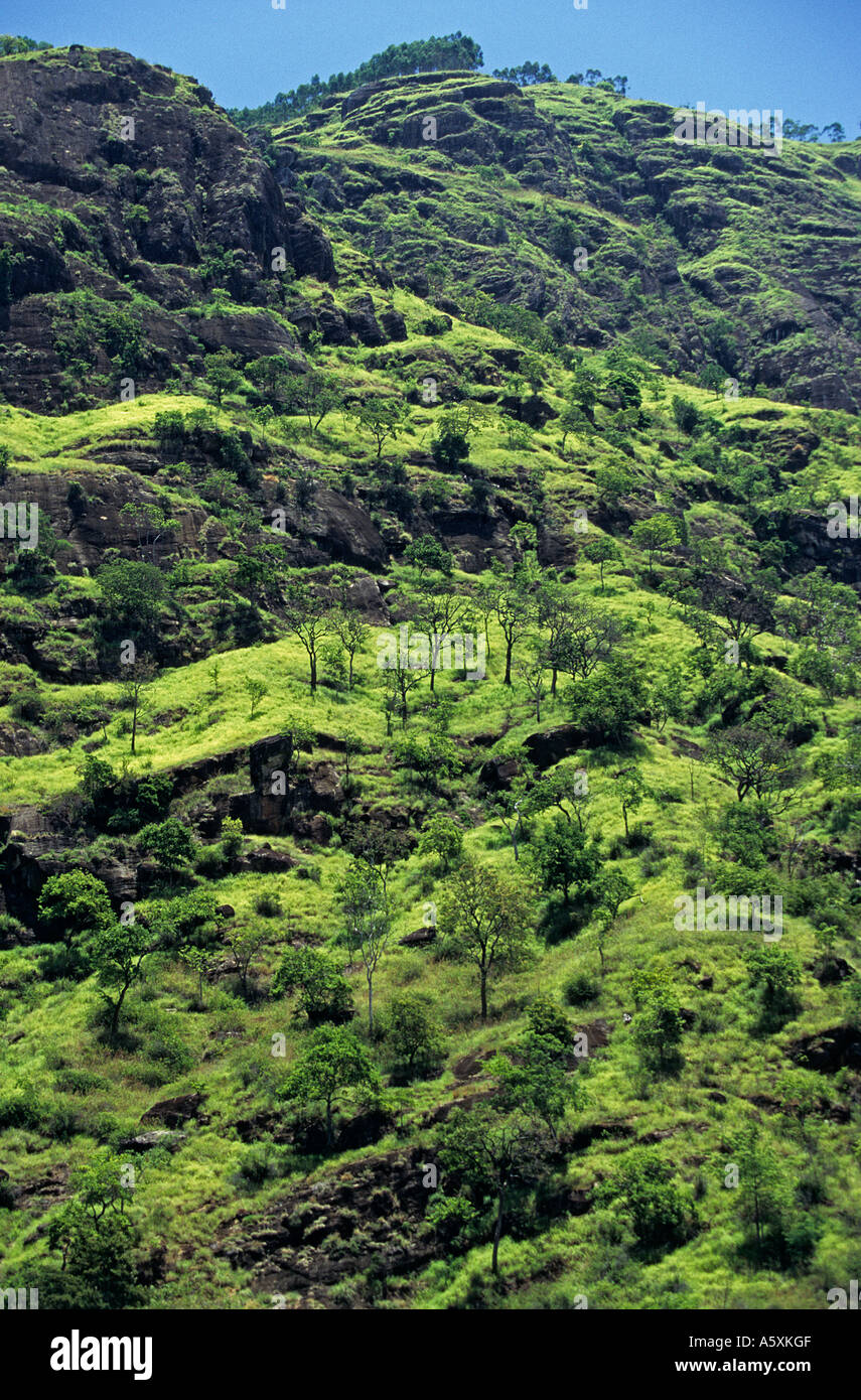 Landschaft im Bereich Diyaluma (Sri Lanka). Polarisationsfilter. Paysage Dans Les environs de Diyaluma (Sri Lanka). Stockfoto