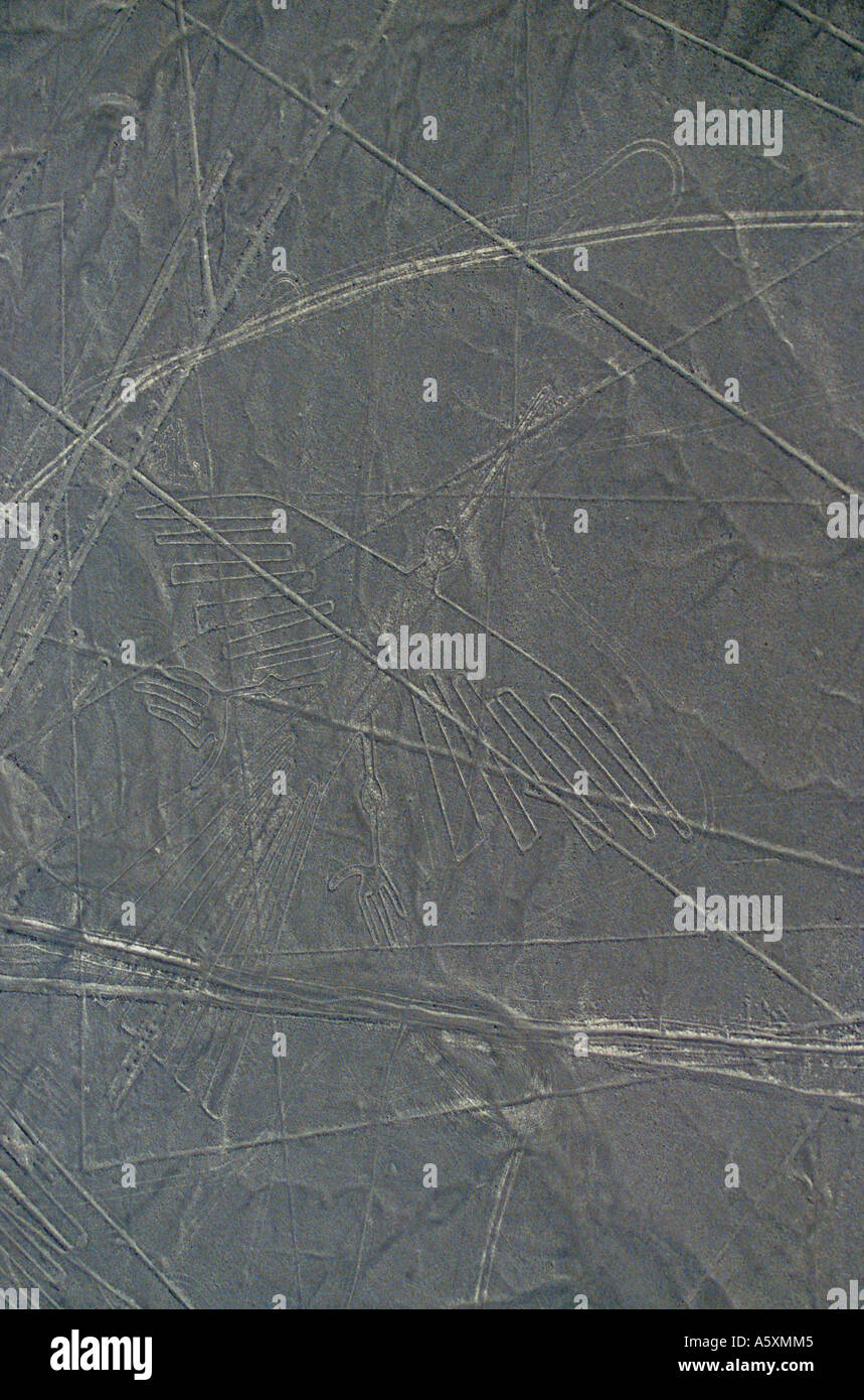 Die Nazca-Linien: hier der Condor / Ibis (Ica - Peru). Géoglyphes de Nazca, le Condor (Ica - Pérou). Stockfoto