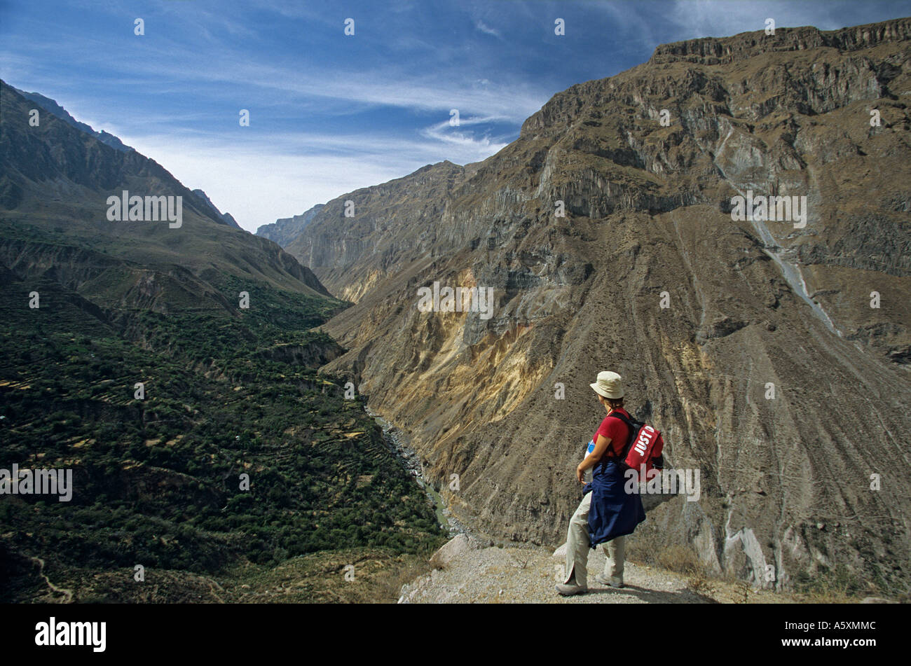 Der Colca Canyon (Arequipa - Peru). Cañon de Colca (Arequipa - Pérou). Stockfoto