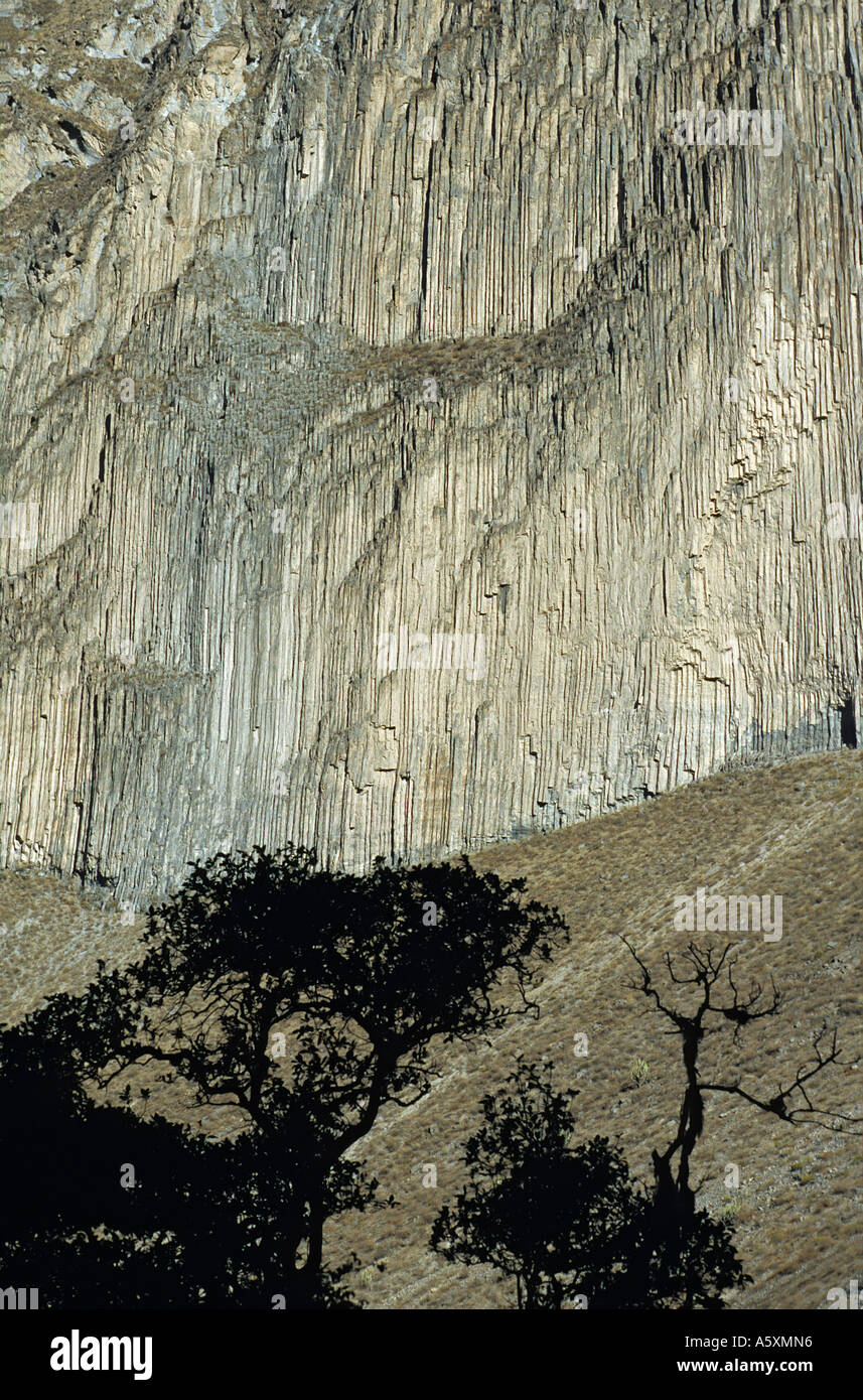 Basaltsäulen in den Colca Canyon (Arequipa - Peru). ORGUE Basaltique Dans le Cañon de Colca (Arequipa - Pérou). Stockfoto