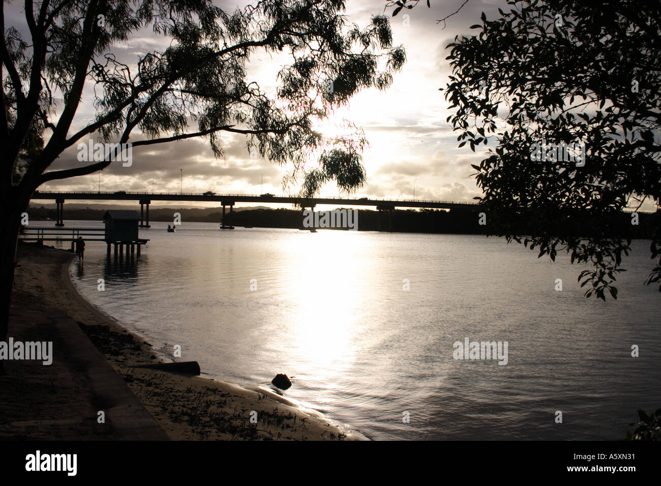 AM NACHMITTAG LANDSCHAFT MAROOCHY RIVER SUNSHINE COAST QUEENSLAND AUSTRALIEN Stockfoto