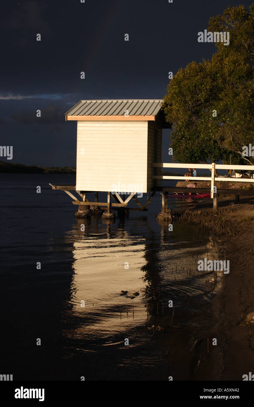 AM NACHMITTAG LANDSCHAFT MAROOCHY RIVER SUNSHINE COAST QUEENSLAND AUSTRALIEN Stockfoto