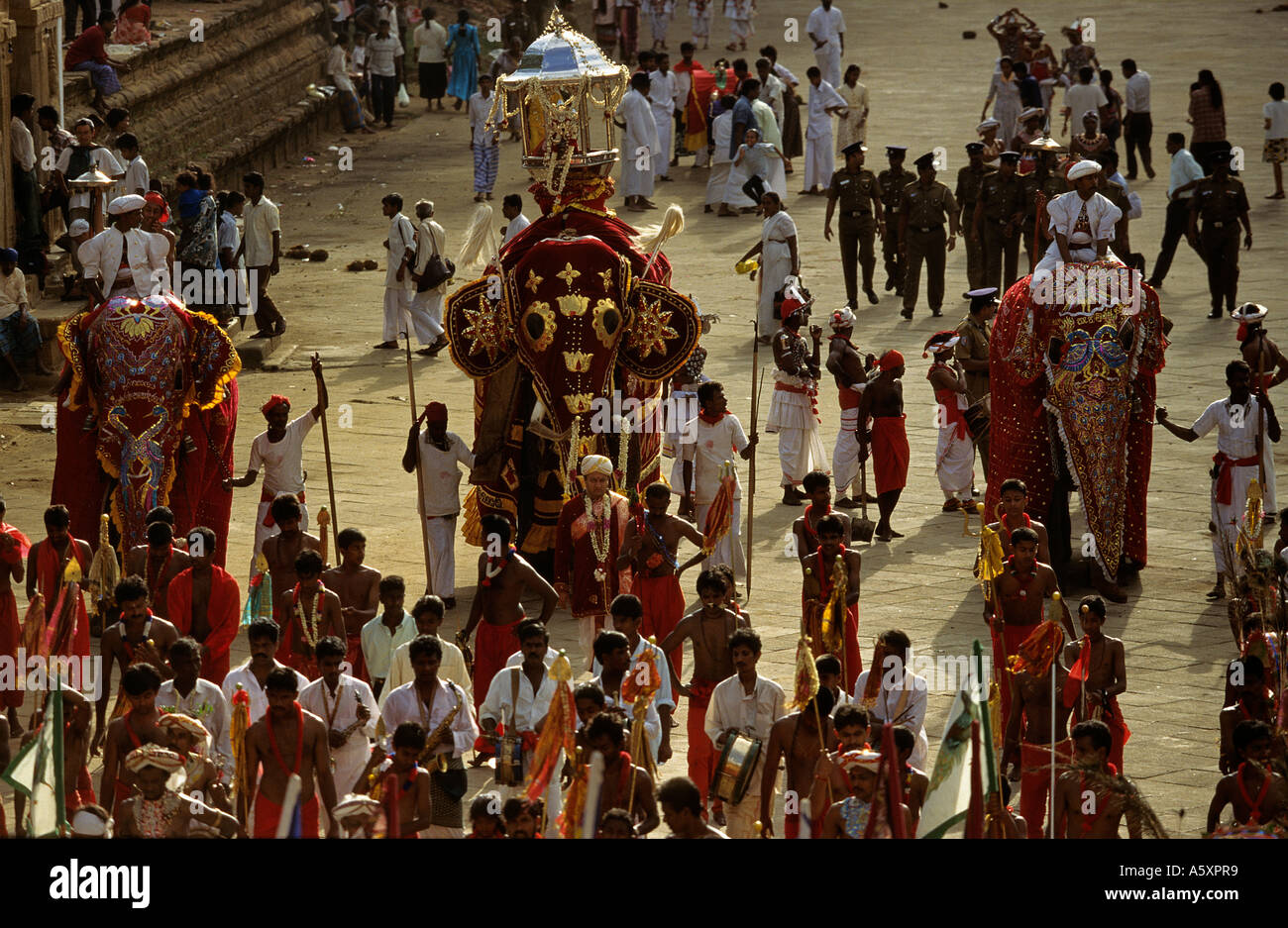 Esala Perahera in Kandy (Sri Lanka). Esala Perahera À Kandy (Sri Lanka