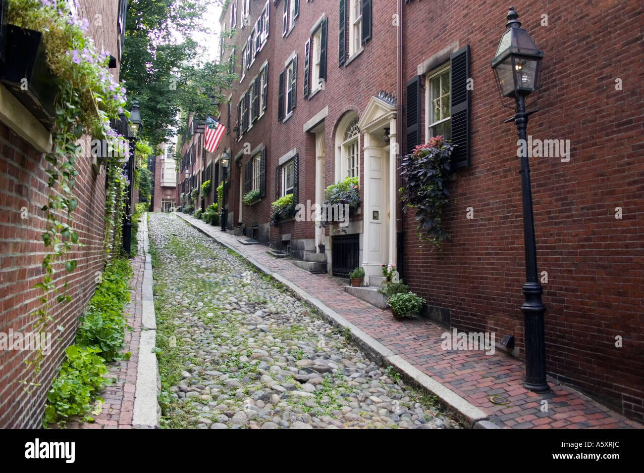 Straße mit Kopfsteinpflaster in Beacon Hill Abschnitt von Boston Massachusetts, USA Stockfoto