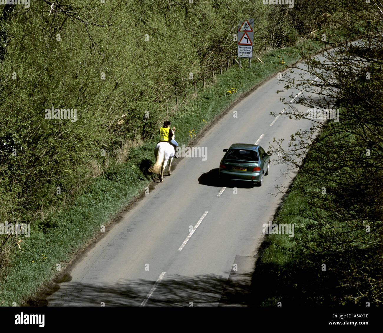 Mädchen auf Pferd auf Landstraße Anerkennung überholen Autofahrer für das Abbremsen, Warwickshire, England, UK Stockfoto