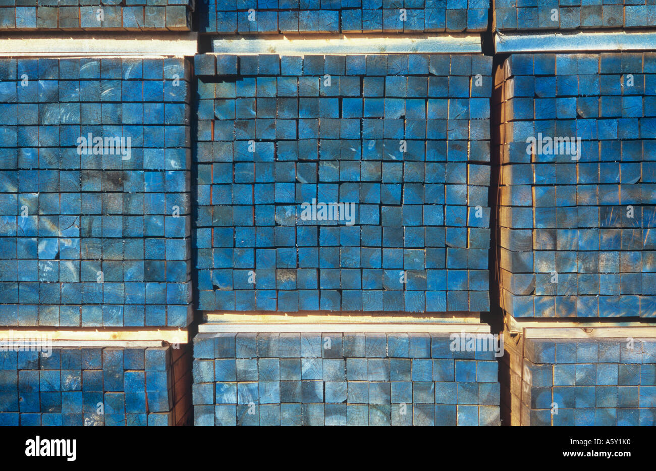 Detail der Stapel des Platzes gebündelt Kantholz Längen behandelt oder gebeizt oder mit einem blauen Farbstoff markiert Stockfoto