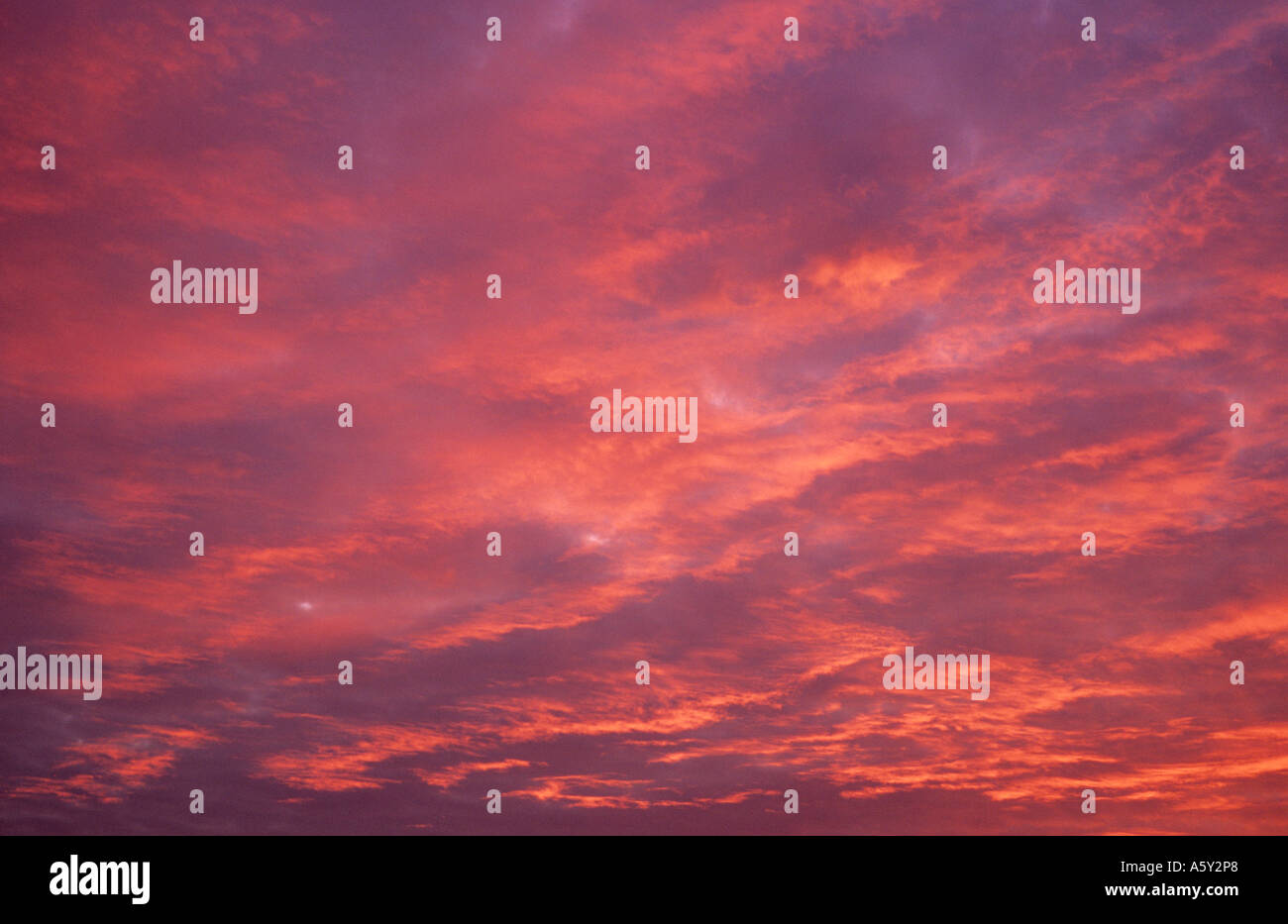 Feurige rote Stratocumulus und Cirrus-Wolken bei Sonnenuntergang Stockfoto