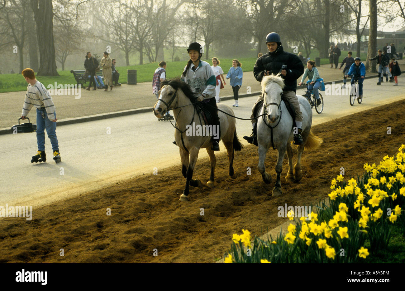 Hinteren Reiter im Londoner Hyde Park England Stockfoto