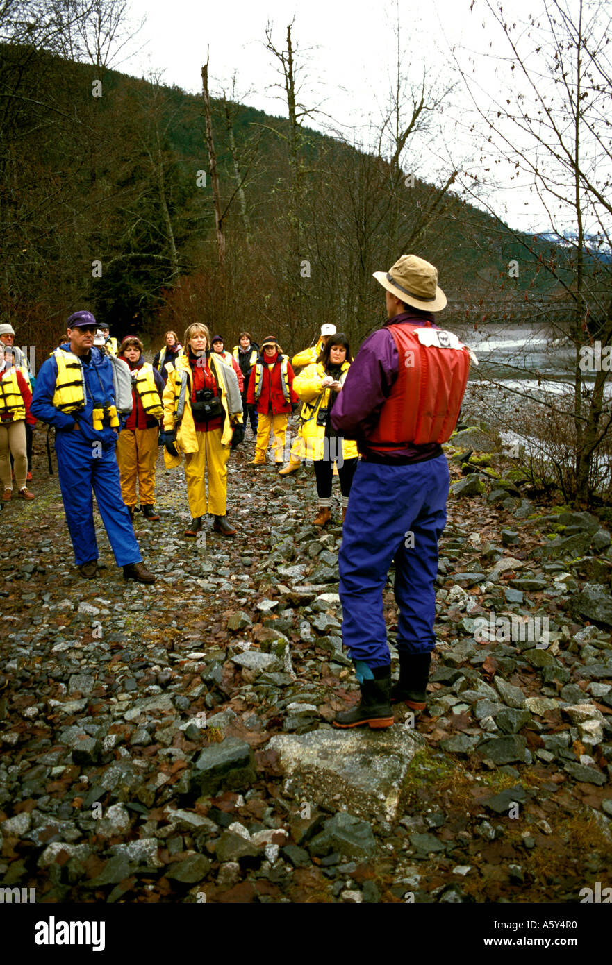 Kanada British Columbia Rafting durch Weißkopf-Seeadler bei Brackendale Stockfoto