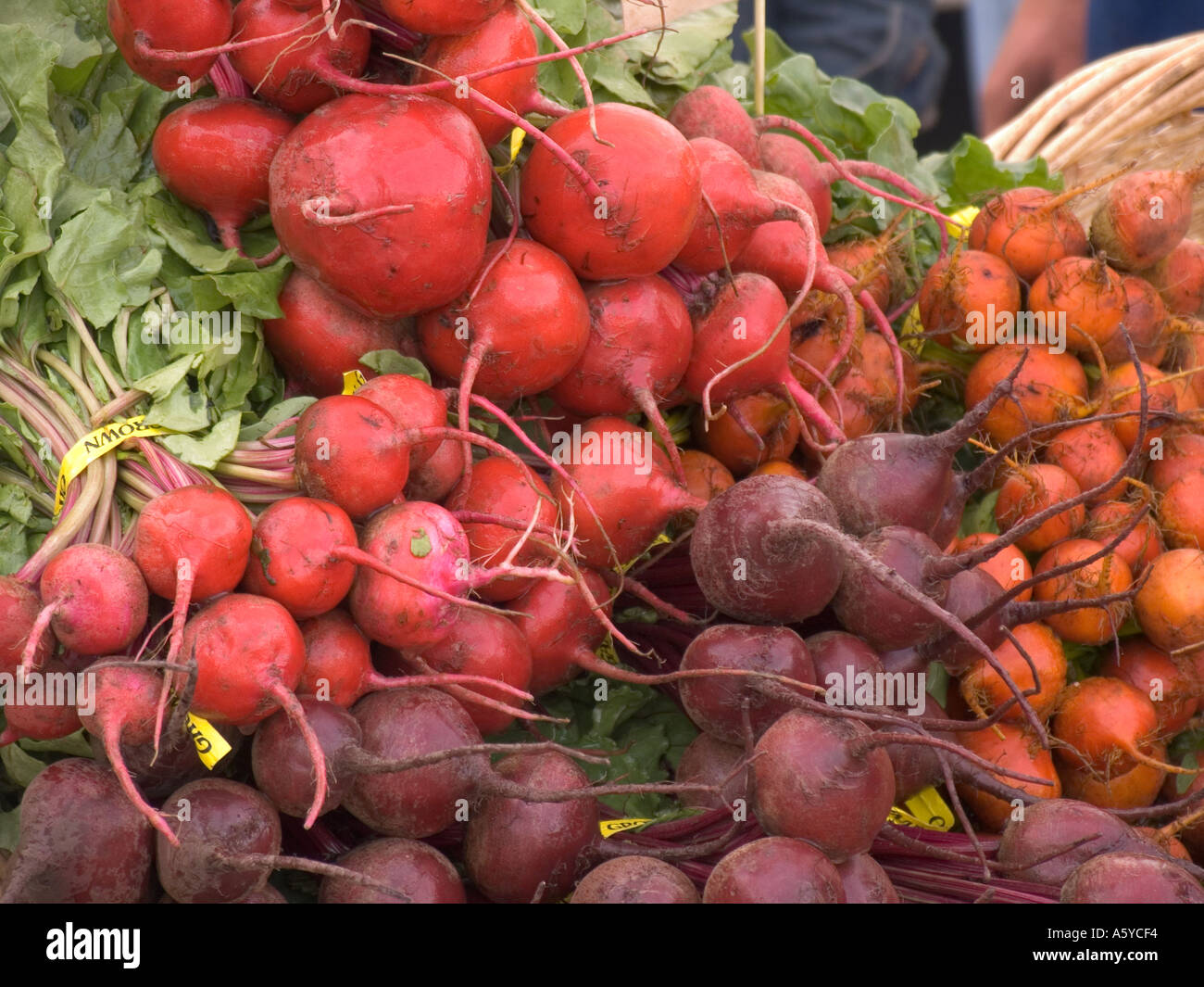 Trauben von Rüben auf Bauernmarkt Stockfoto