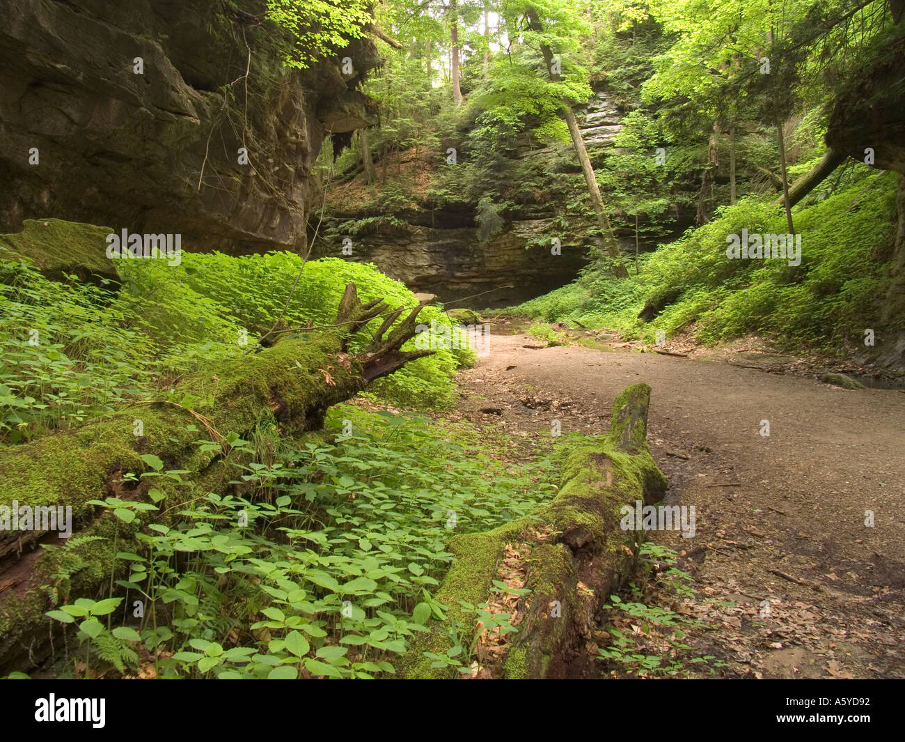 Felsige Höhle Türkei Run State Park Indiana USA Stockfoto