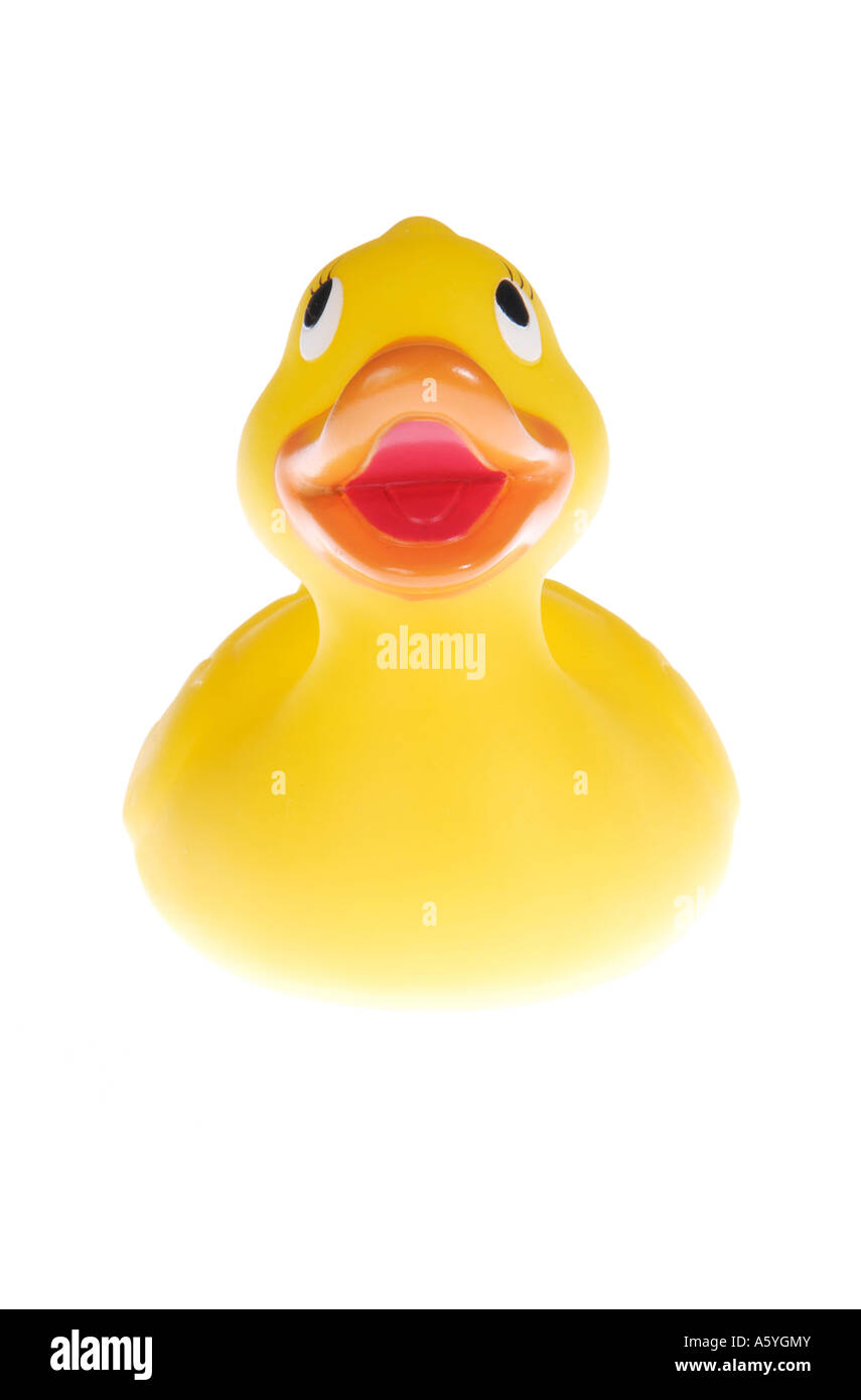 Die Ente Stockfoto