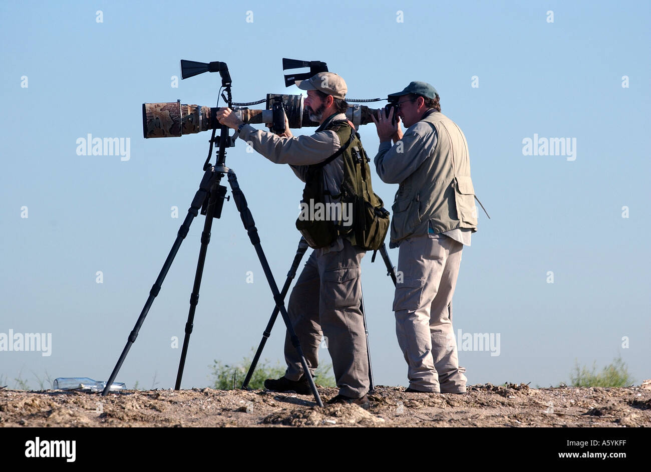 Vogelfotografen mit massiven Objektive jagen ihre Beute entlang des Strandes in Connecticut Stockfoto