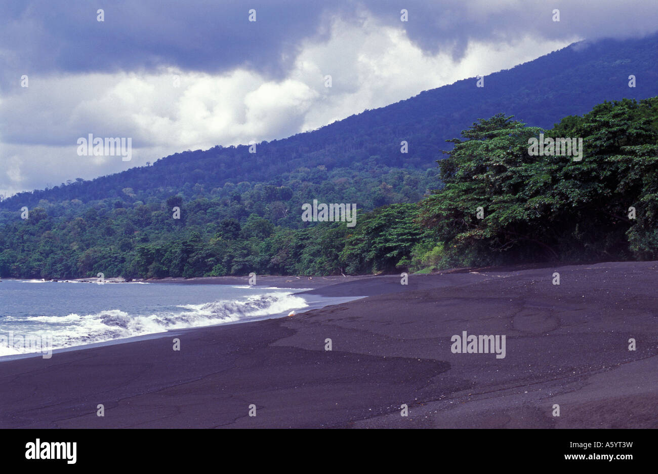 Vulkanischen Sandstrände in Tangkoko Nationalpark North Sulawesi Stockfoto