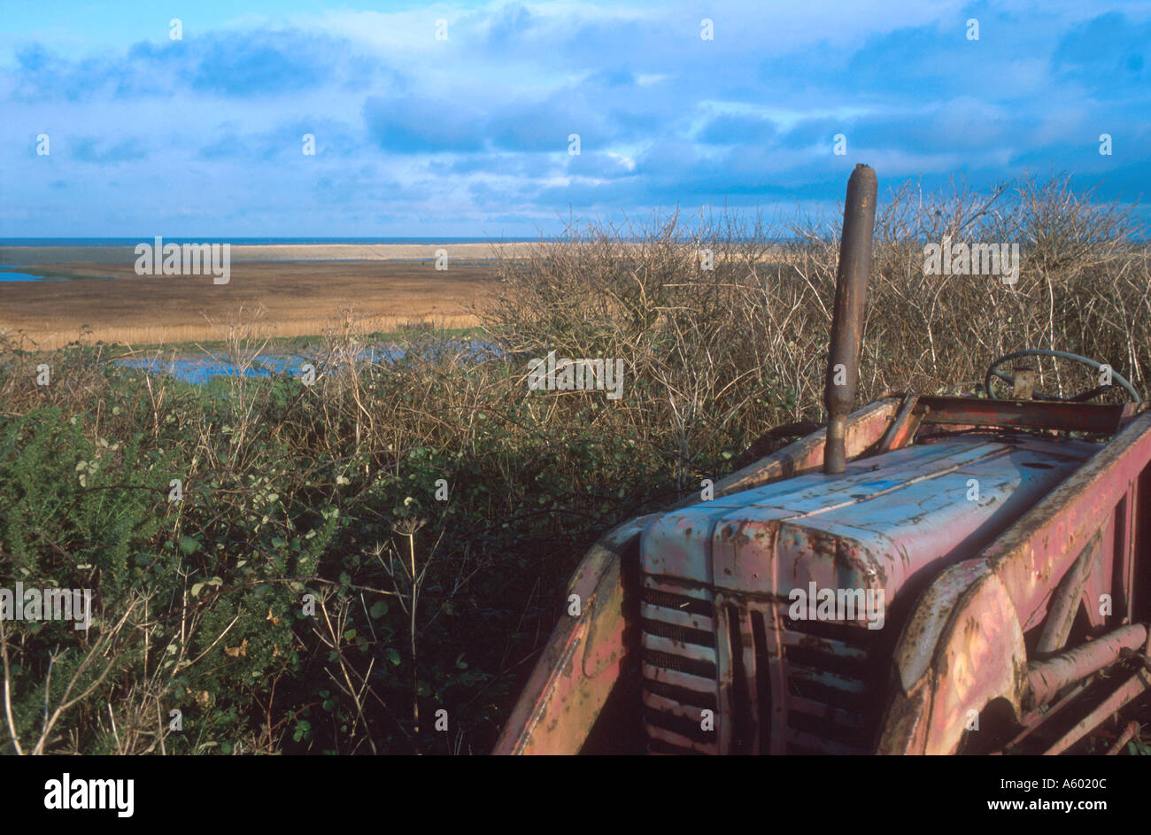 VERLASSENE STILLGELEGTEN TRAKTOR BEI SALTHOUSE NORFOLK EAST ANGLIA ENGLAND UK Stockfoto