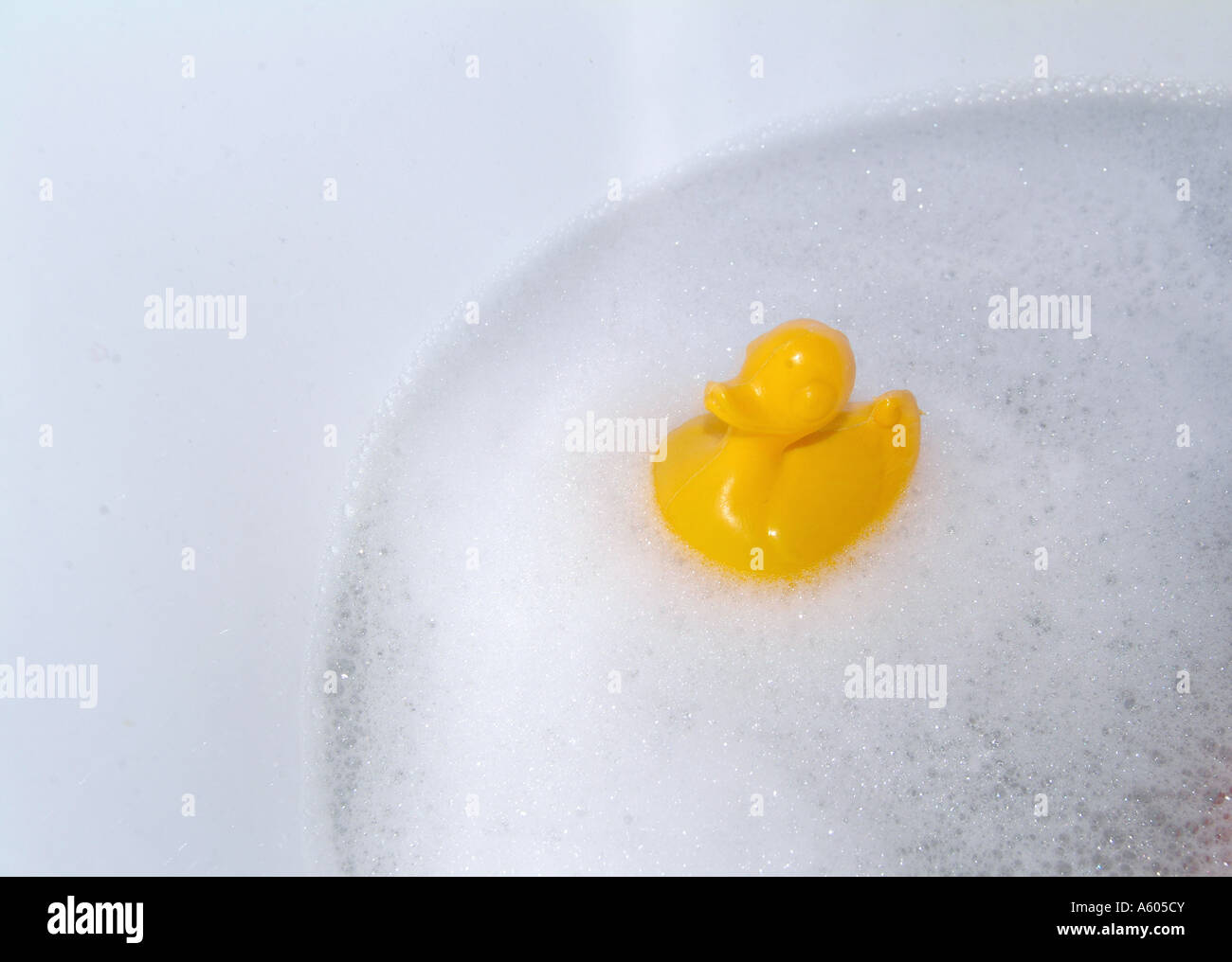 Gelbe Ente schwimmend im Schaumbad Stockfoto