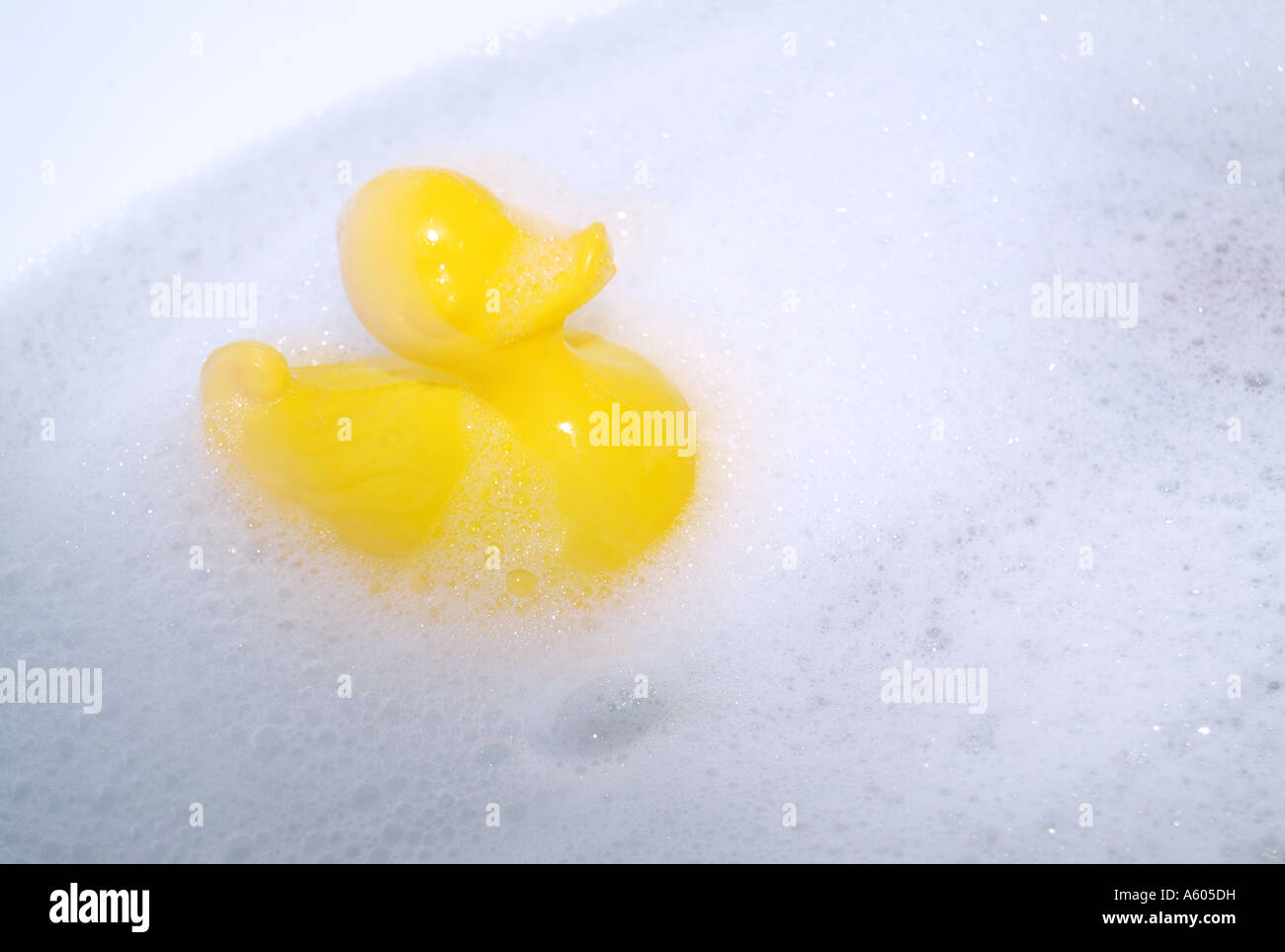 Gelbe Ente schwimmend im Schaumbad Stockfoto