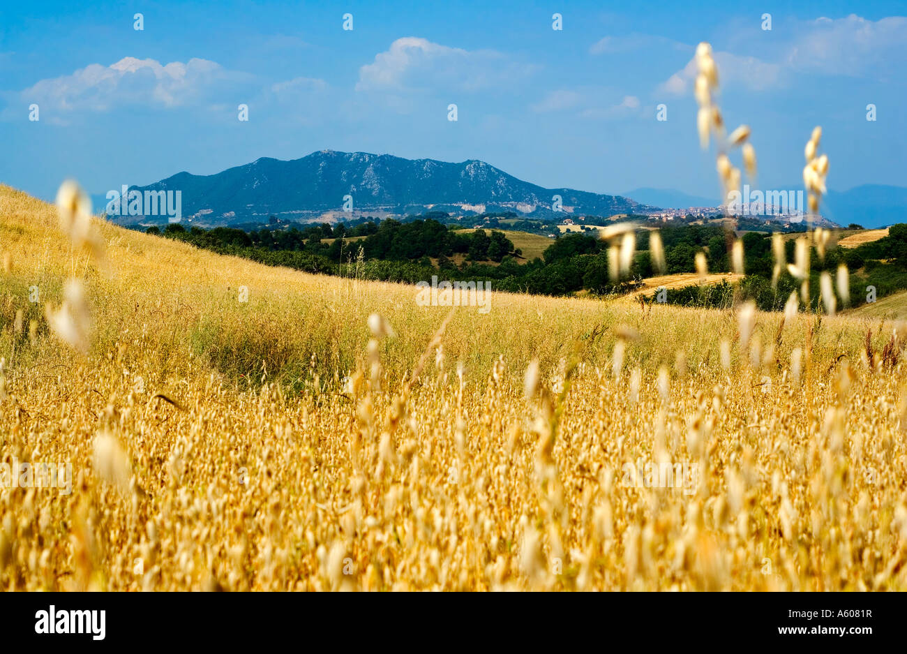 Mount Soratte und Golden schneidet Mittelitalien Stockfoto