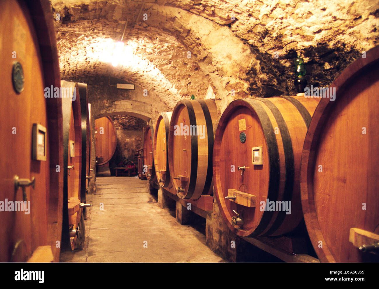 Weinfässer im Chianti Italien Stockfoto