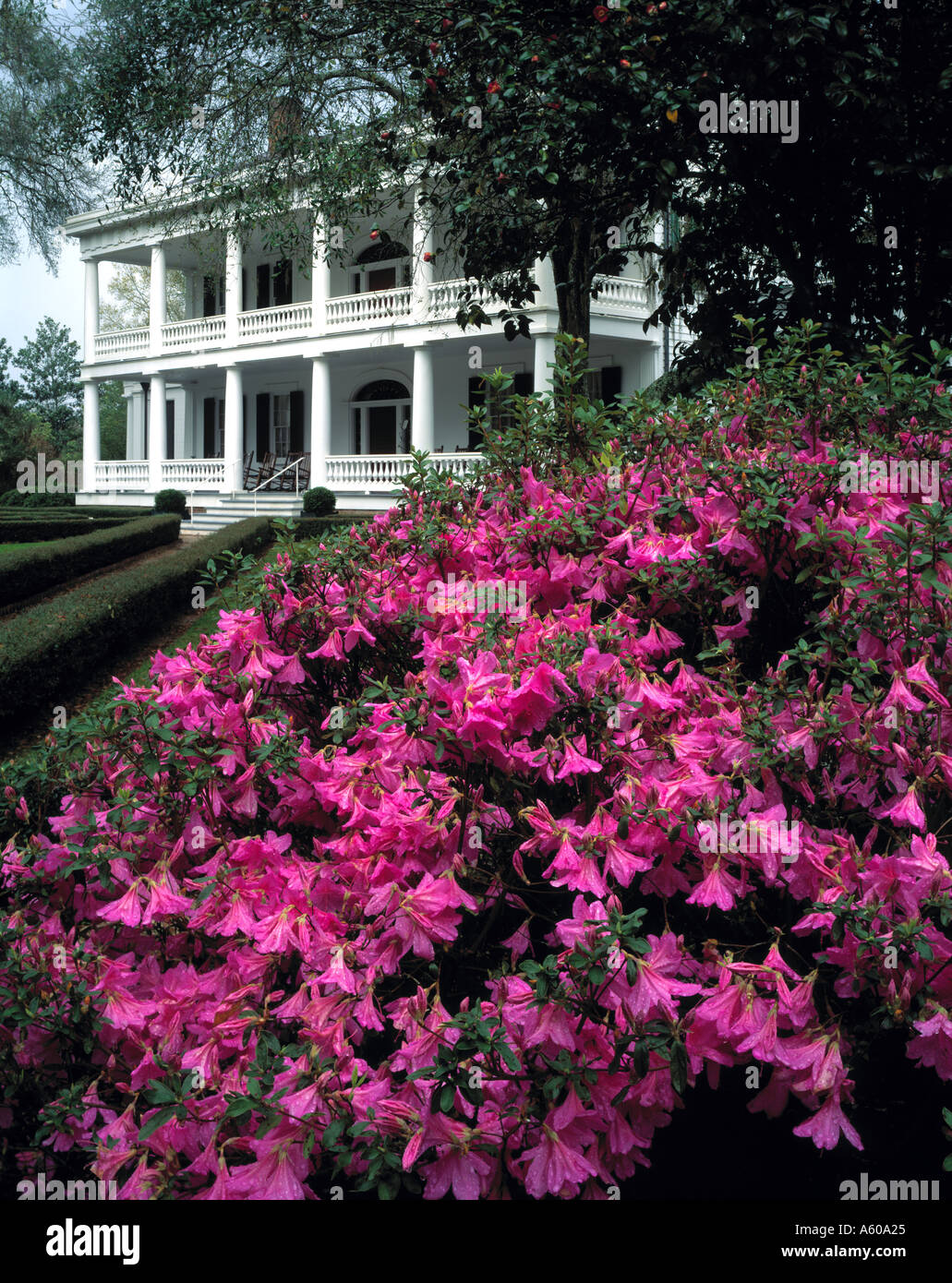 Rosedown Villa St. Francisville Louisiana Stockfoto