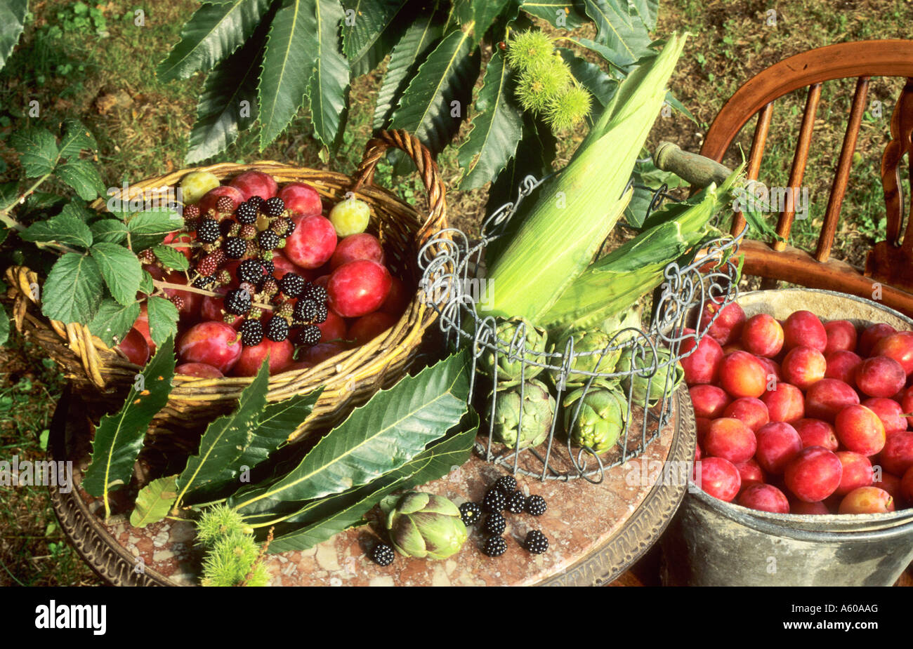 Obst Pflaumen Brombeeren Mais Artischocken Gemüse Stll Leben Stockfoto